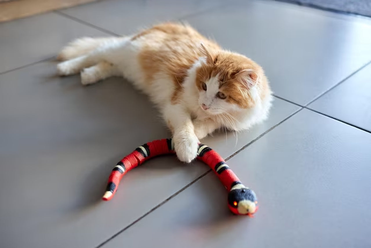 Slim slangenspeeltje