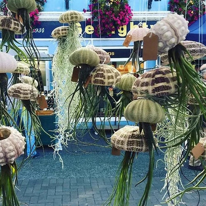 HÄNGENDE LUFTPFLANZE MEDUSE